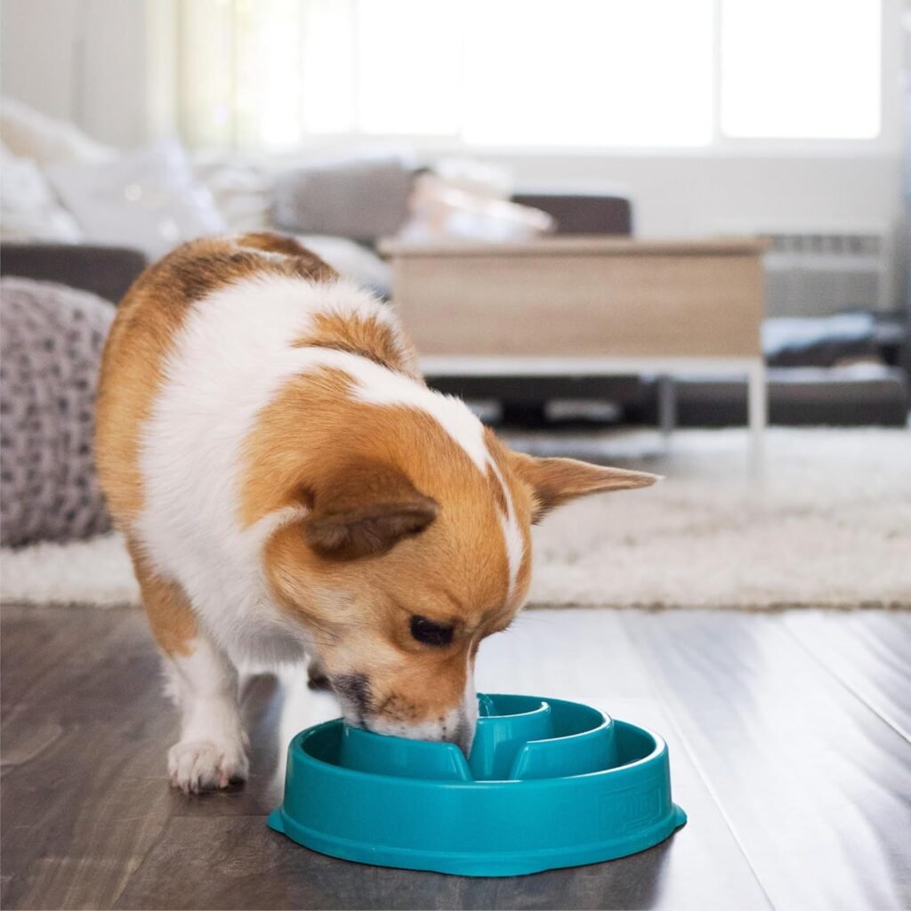 Dog feeding bowl to prevent gulping