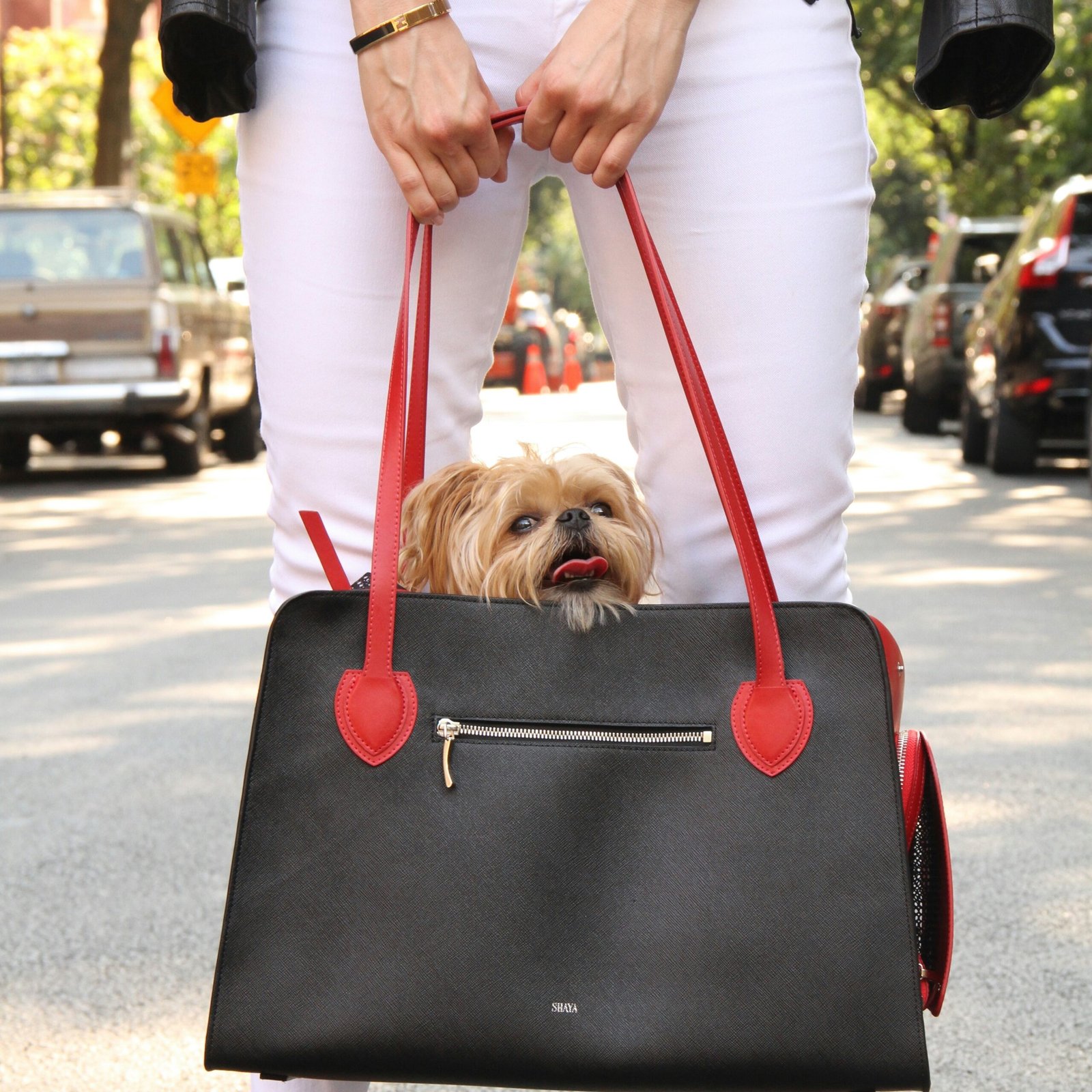 Enhanced Safety: Equipped with adjustable straps and a clip-on leash, these car seats keep your dog securely in place, minimizing distractions and potential injuries during sudden stops.

Comfortable Design: Made from soft, breathable materials with cushioned padding, BurgeonNest car seats ensure your pet enjoys a comfortable ride, reducing travel anxiety.