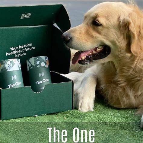 Dog Supplements. Supports a healthy immune system