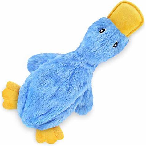Variety of Sizes and Colors: Available in multiple sizes and vibrant colors to suit different breeds and preferences. Safe Materials: Made from non-toxic materials, ensuring your pet's safety during playtime.